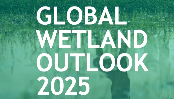 ग्लोबल वेटलँड आउटलुक 2025