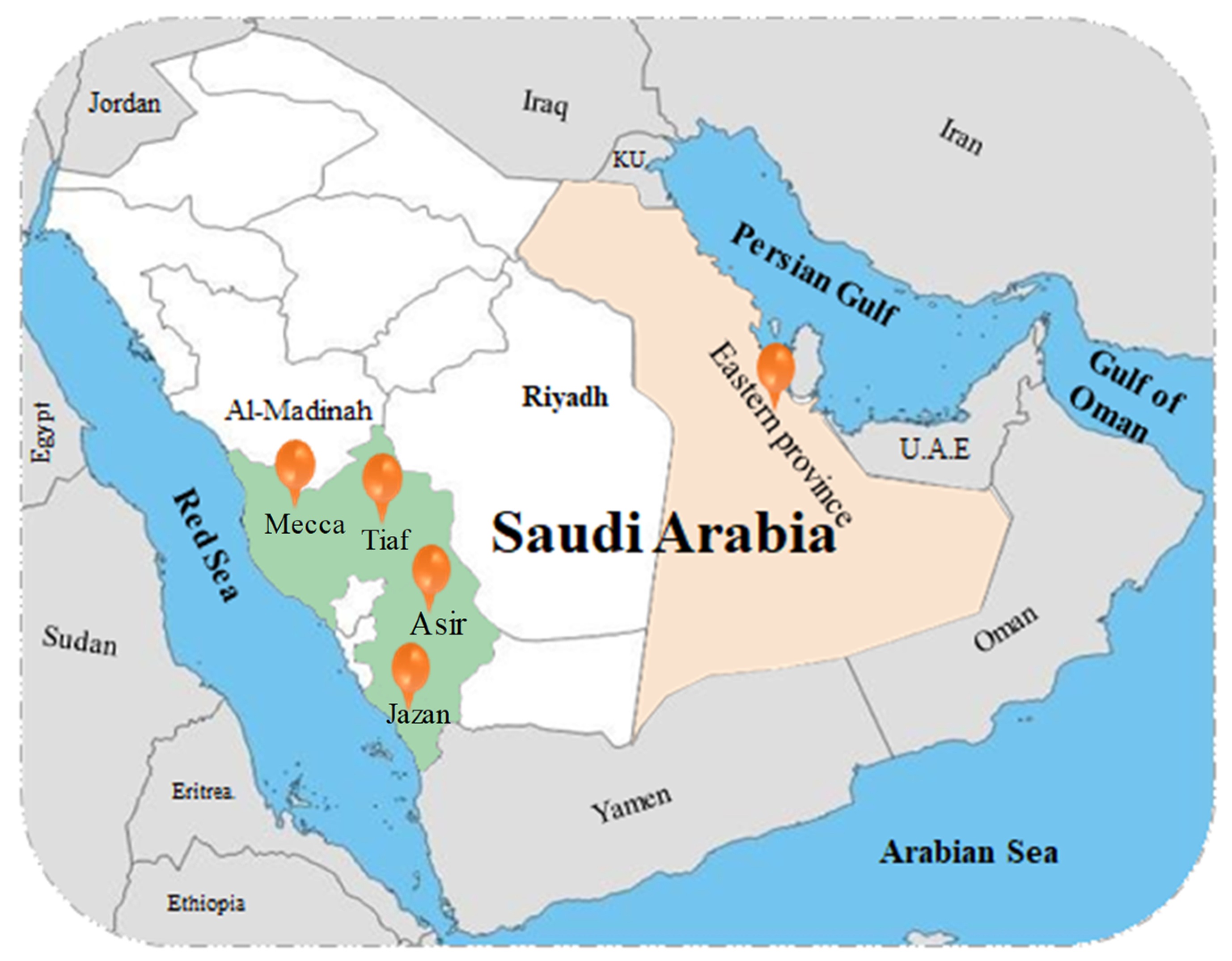 Saudi Arabia Location